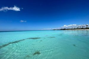 Actividad - Catalina Island Paradise VIP - Full-Day Tour