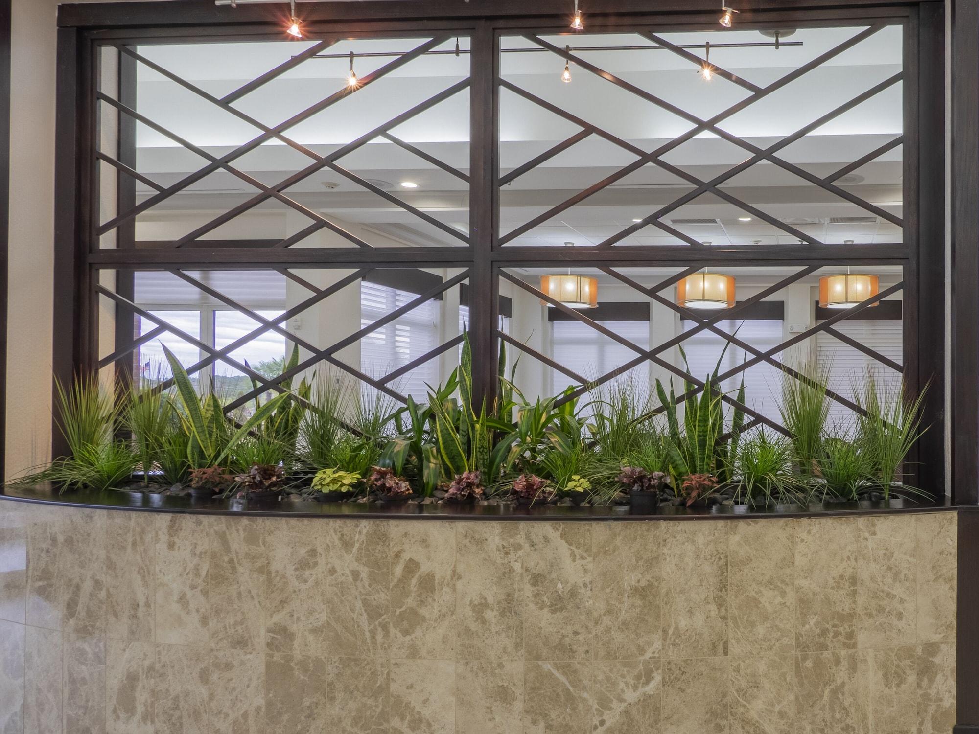 Vista Lobby Hilton Garden Inn Atlanta South/McDonough