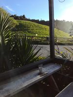 Alojamiento - Juno Hall - BBH