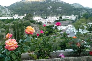 Alquiler Vacacional - Tobala oven