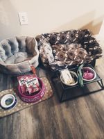 Alquiler Vacacional - Paying pet friendly Luxury apartment with pool and gym