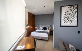 Punto Lofts Periférico Sur