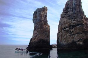 Passeio - Mergulhe com snorkel no Parque Nacional da Ilha Espíritu Santo e na Colônia de Leões Marinhos