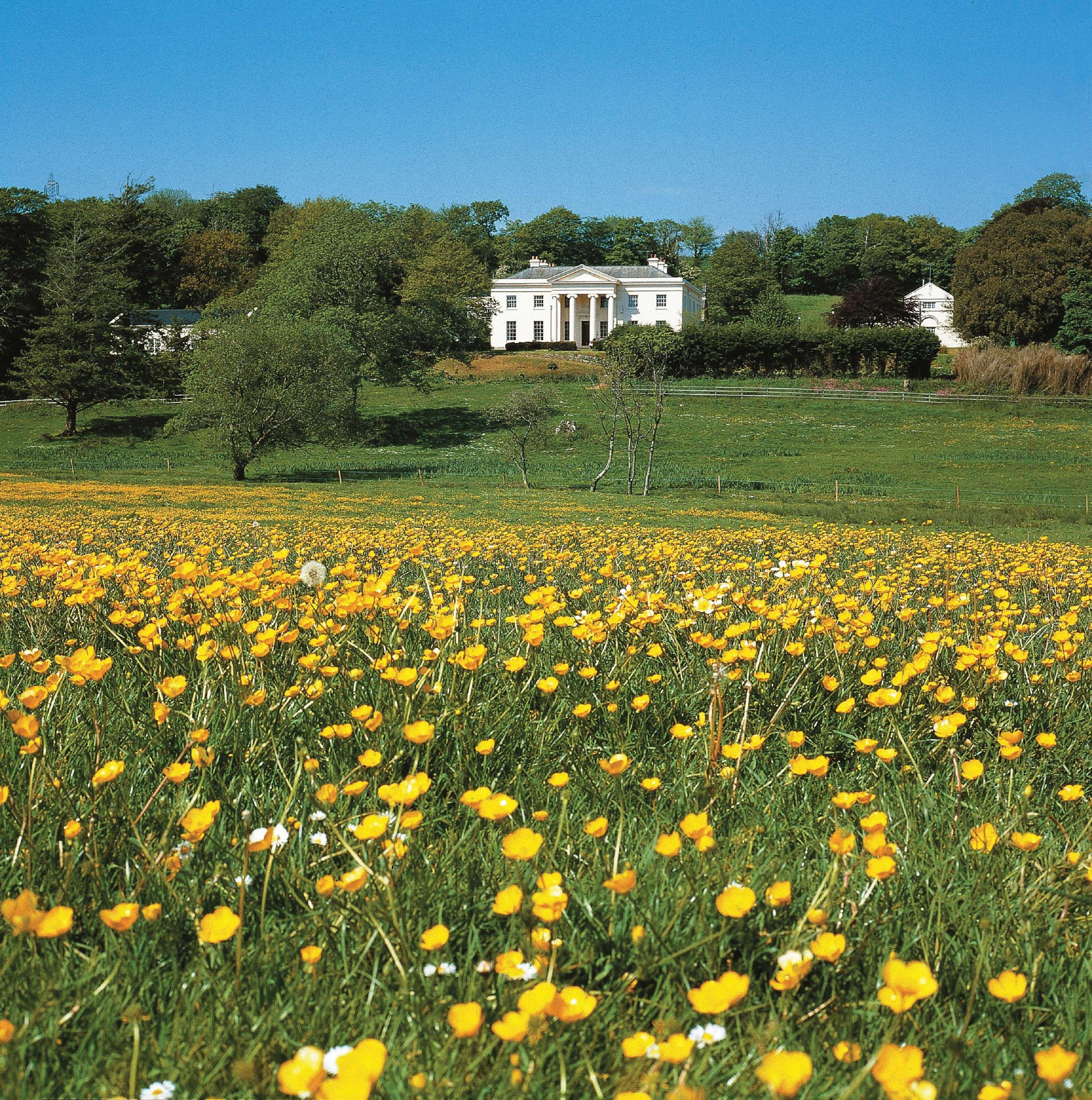 Vista Exterior Best Western Lamphey Court Hotel & Spa