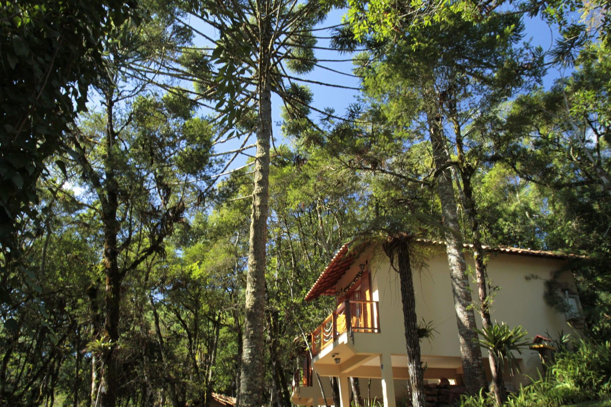Vista Exterior Chalé da Floresta