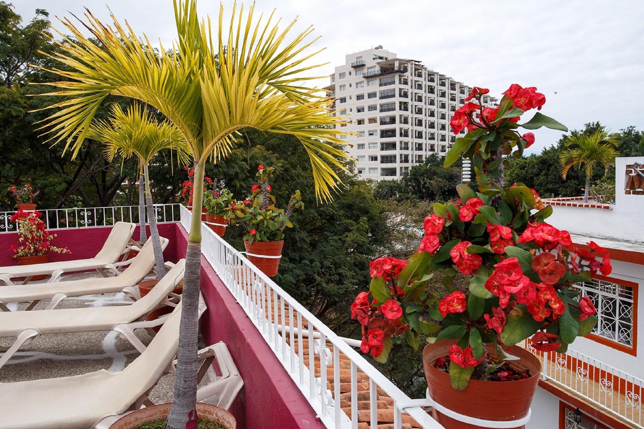 Varios Suites Plaza del Rio