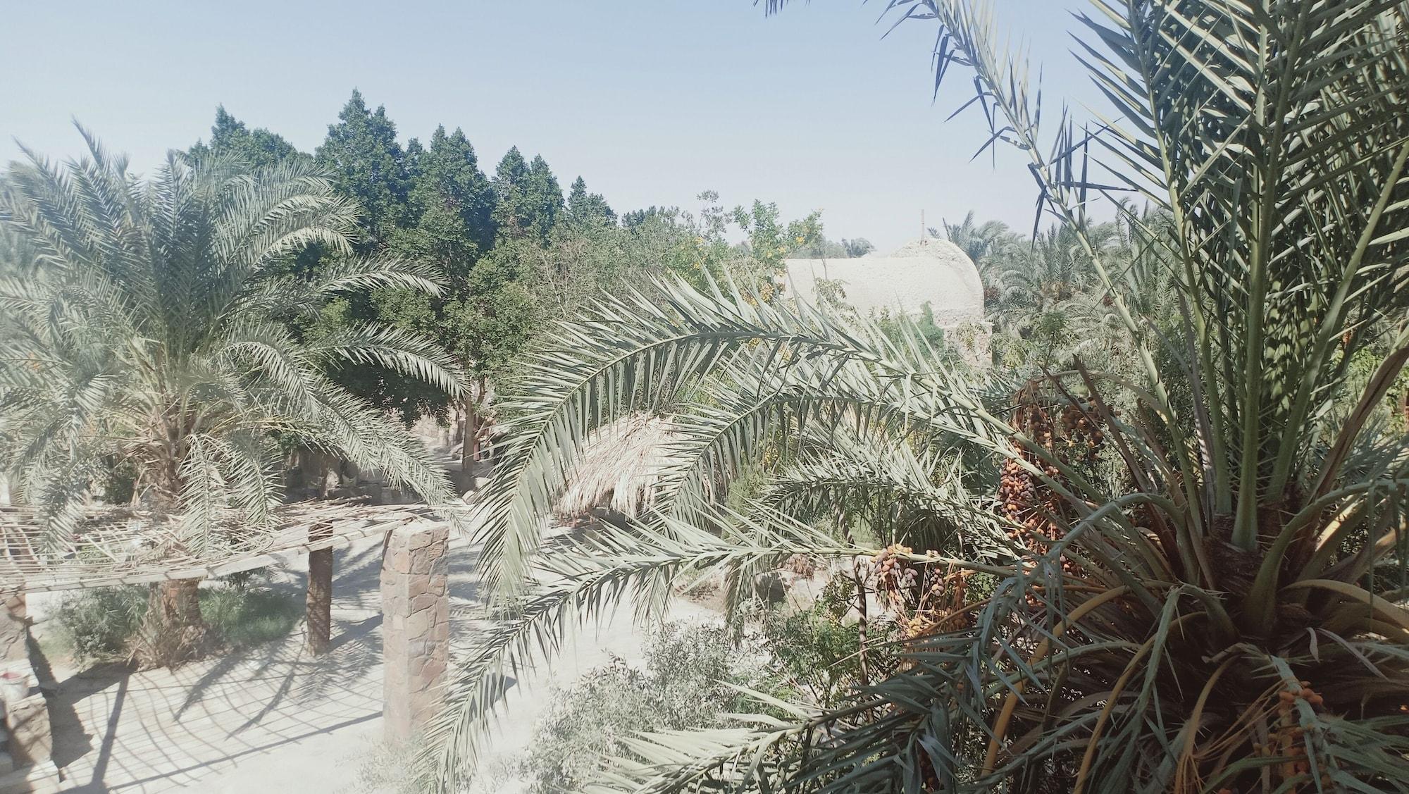 Equipamiento de Habitación Ahmed Safari Camp & hotel