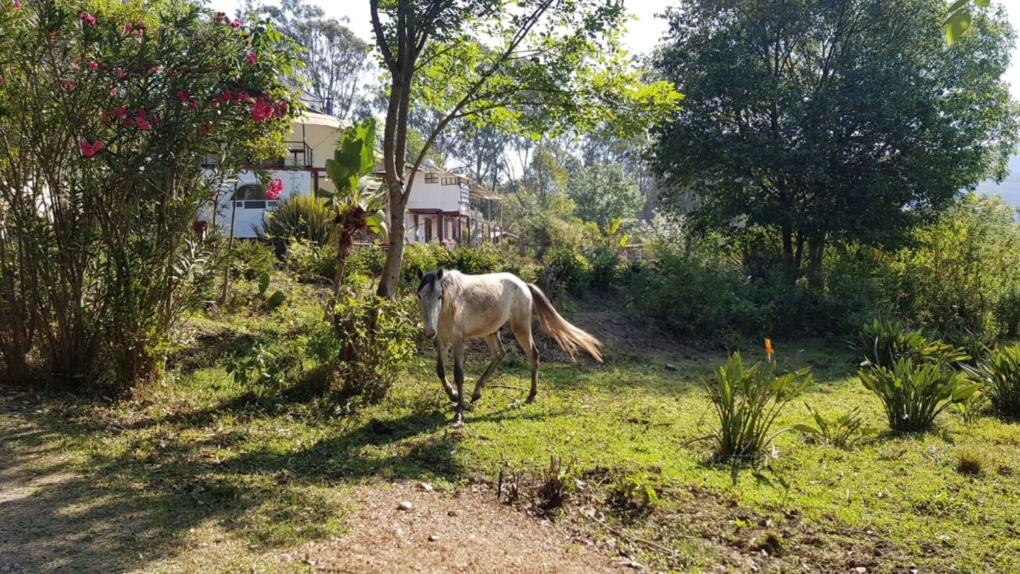 Varios Casa LUNAH Cabalgatas y Meditación