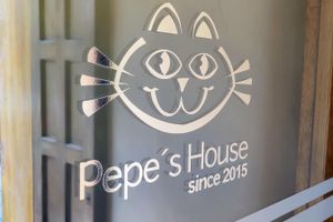 Alojamiento - Pepe's House Cuenca | Hotel & Boutique Hostel