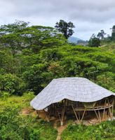 Alojamiento - Blue Dot - jungle eco hostel