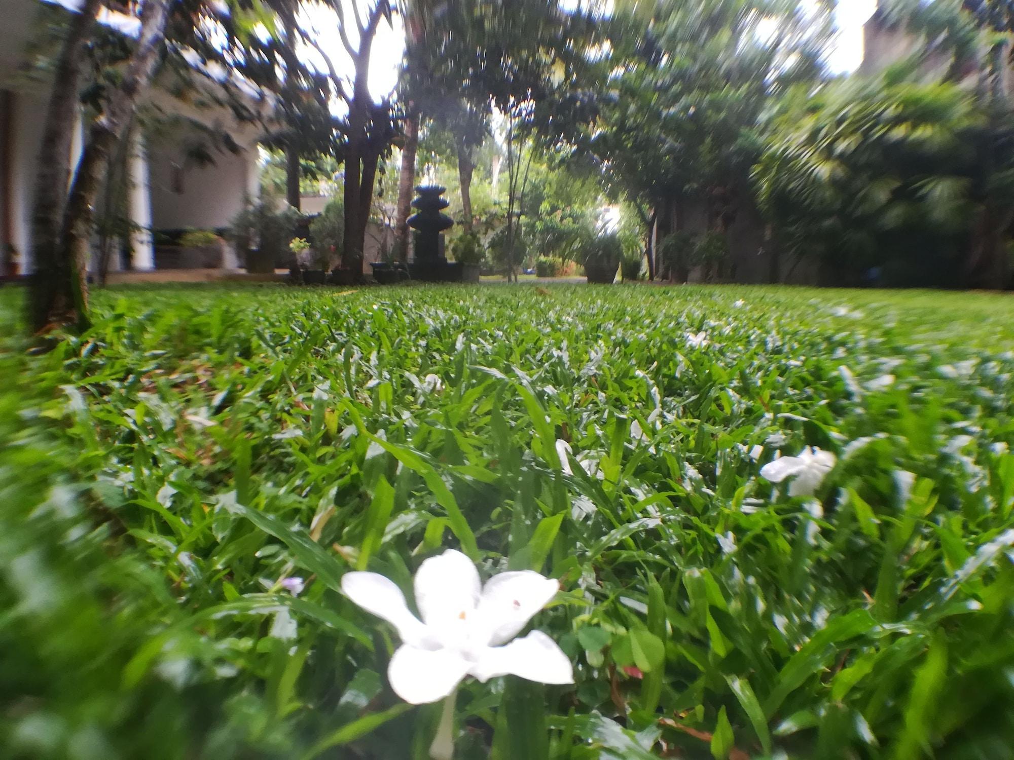 Instalaciones Recreativas Unawatuna Nor Lanka Hotel