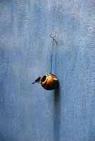 Alquiler Vacacional - Caribbean Flower Apartments