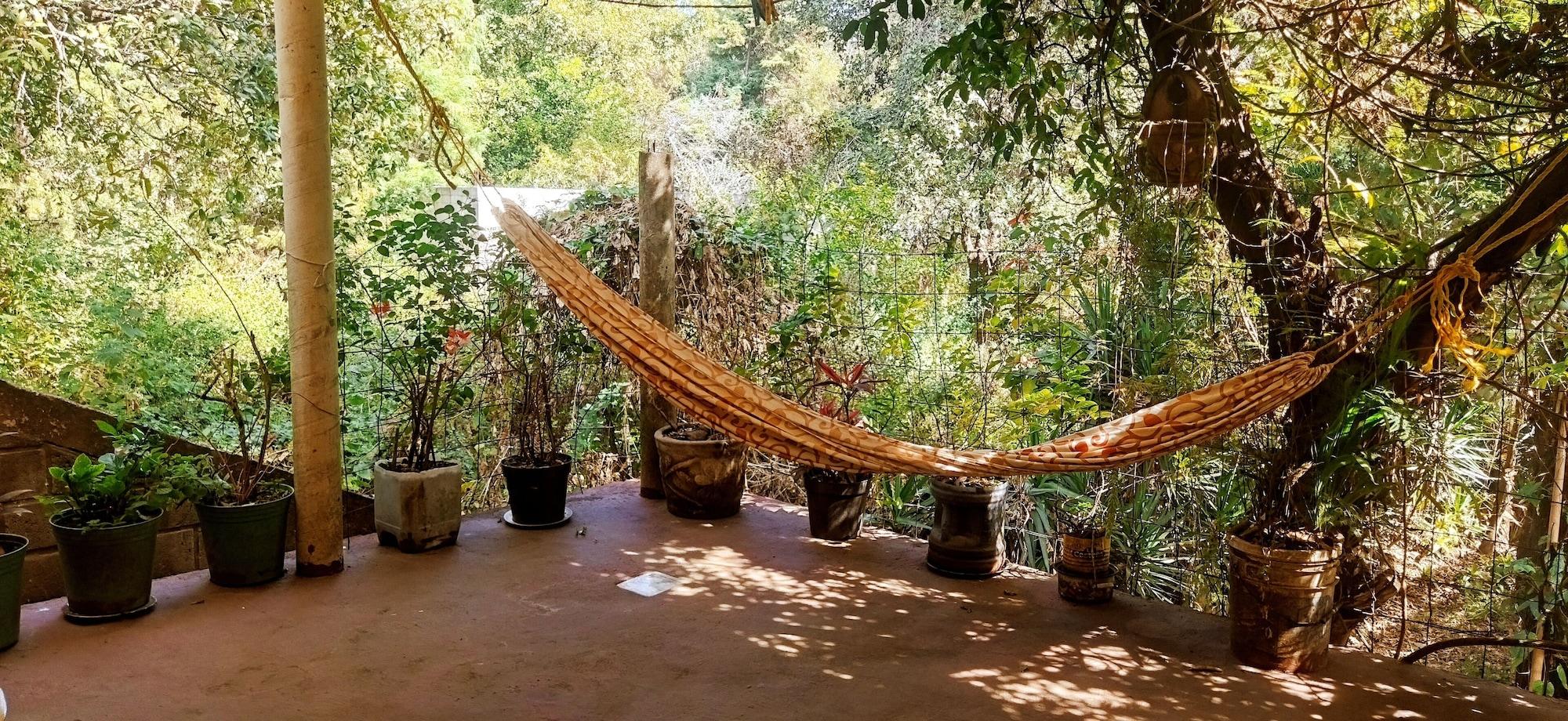 Vista Exterior Casa Ecológica