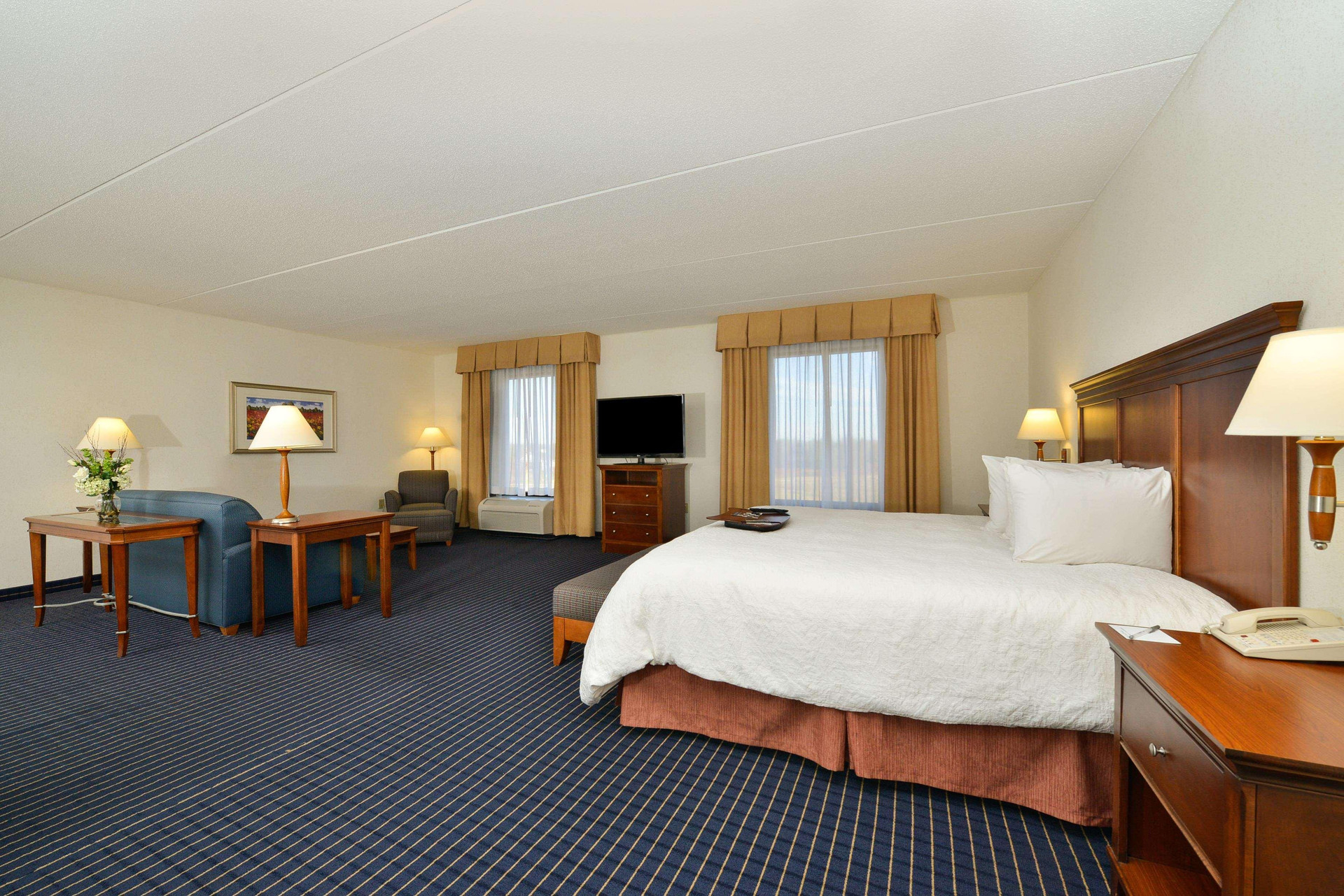 Habitación Hampton Inn Farmville, VA