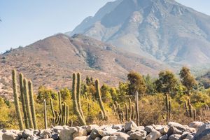 Activity - La Campana National Park Trip