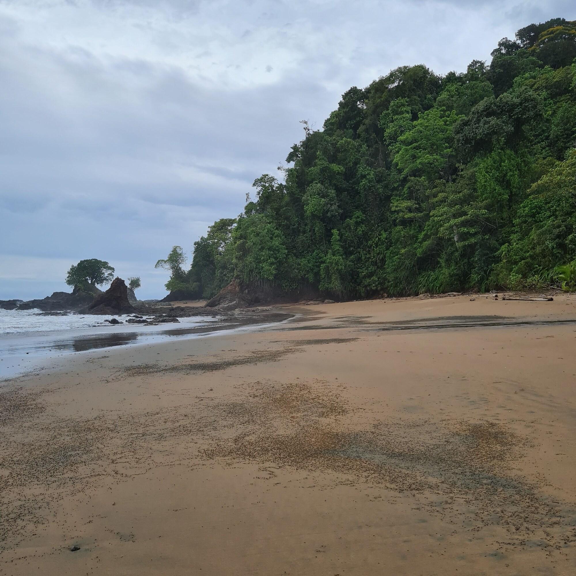 Playa Ecohotel Linda Judith