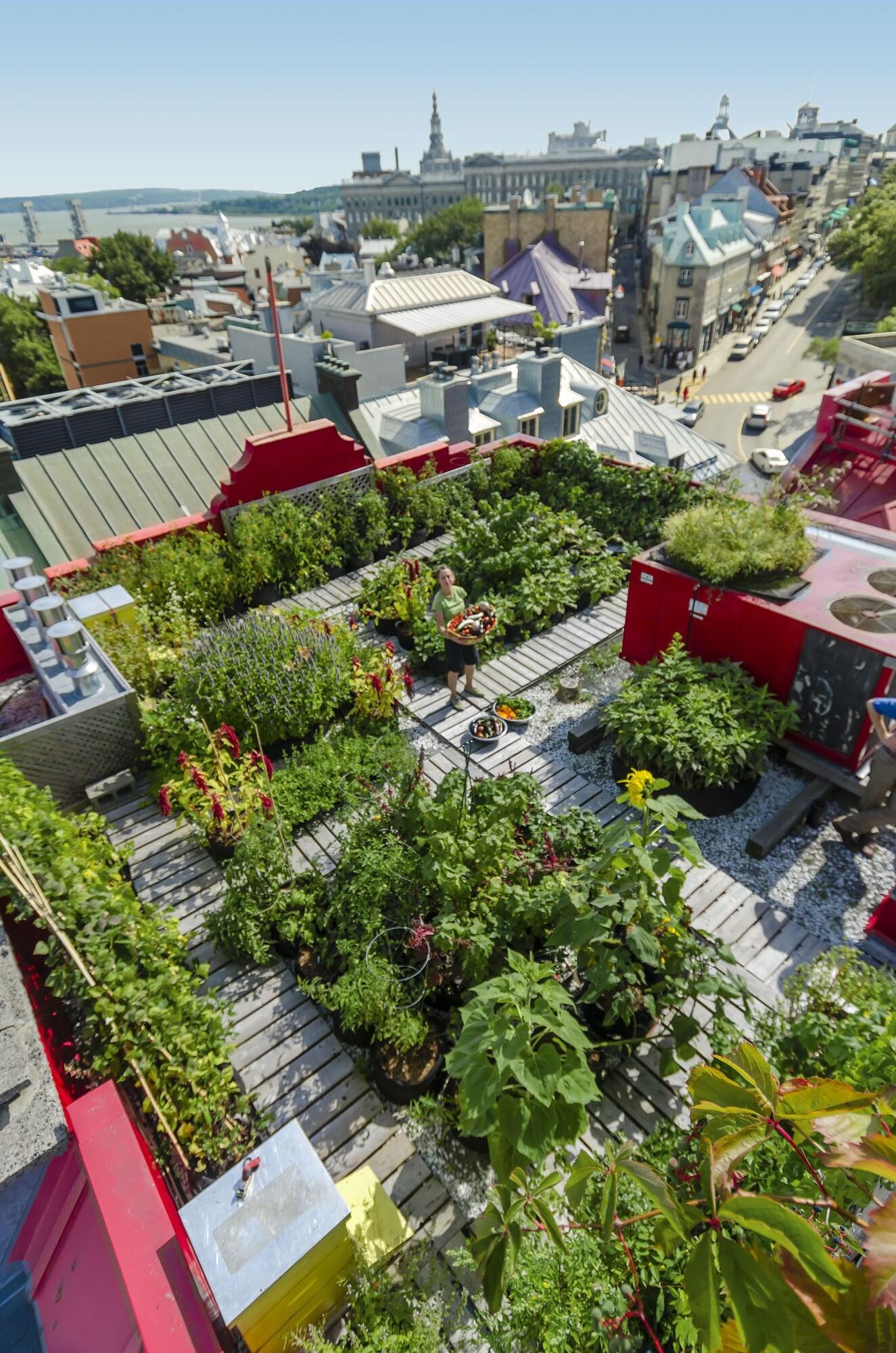 Vista Exterior Hotel Du Vieux Quebec