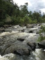 Alojamiento - Eco Hotel La Cabaña