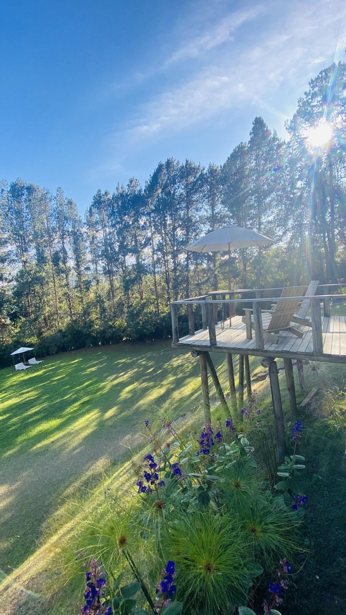 Vista Exterior Glamping Vital Spa