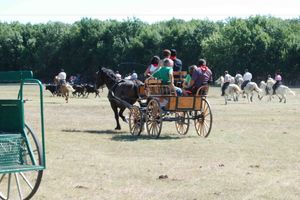 Alojamiento - Roulotte La Nanouche