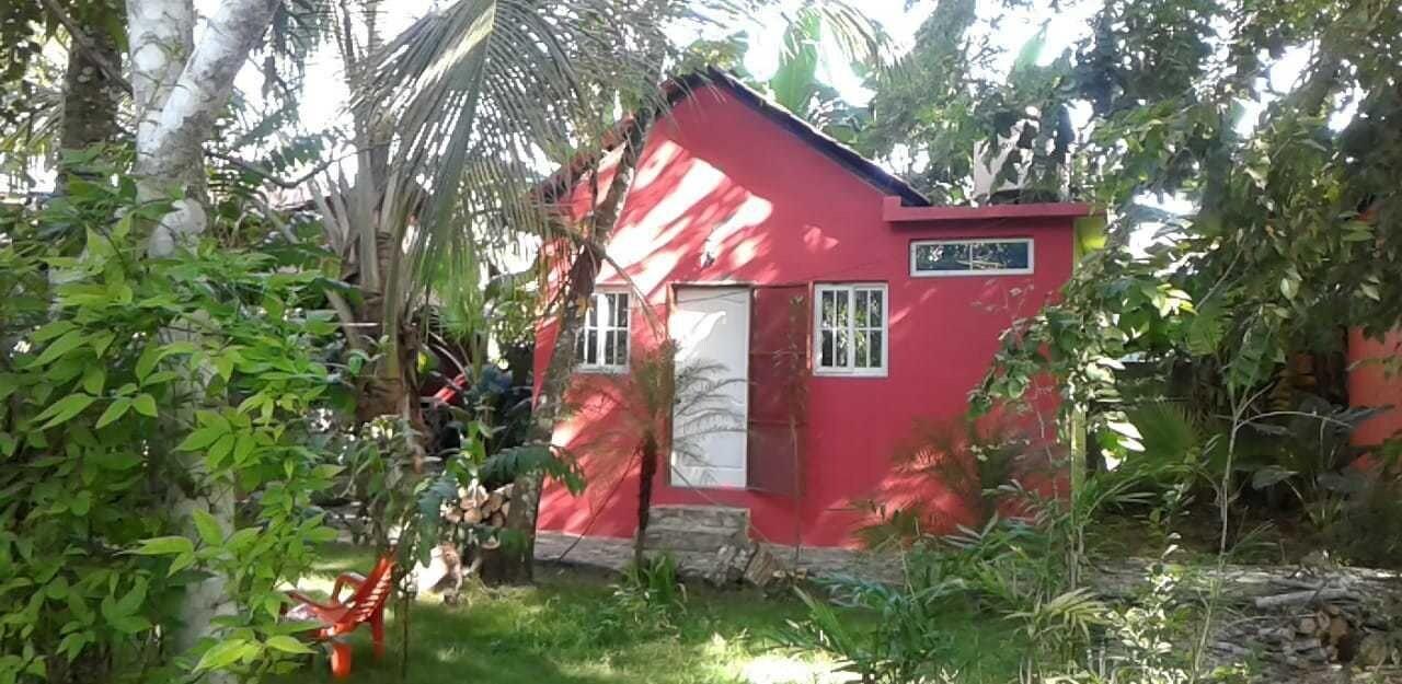 Varios Green Jungle Hotel y Restaurante