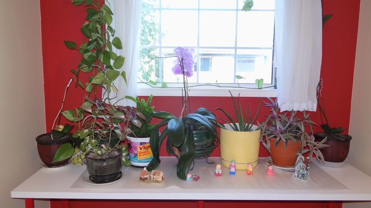 Set de Habitación Brother Li Homestay