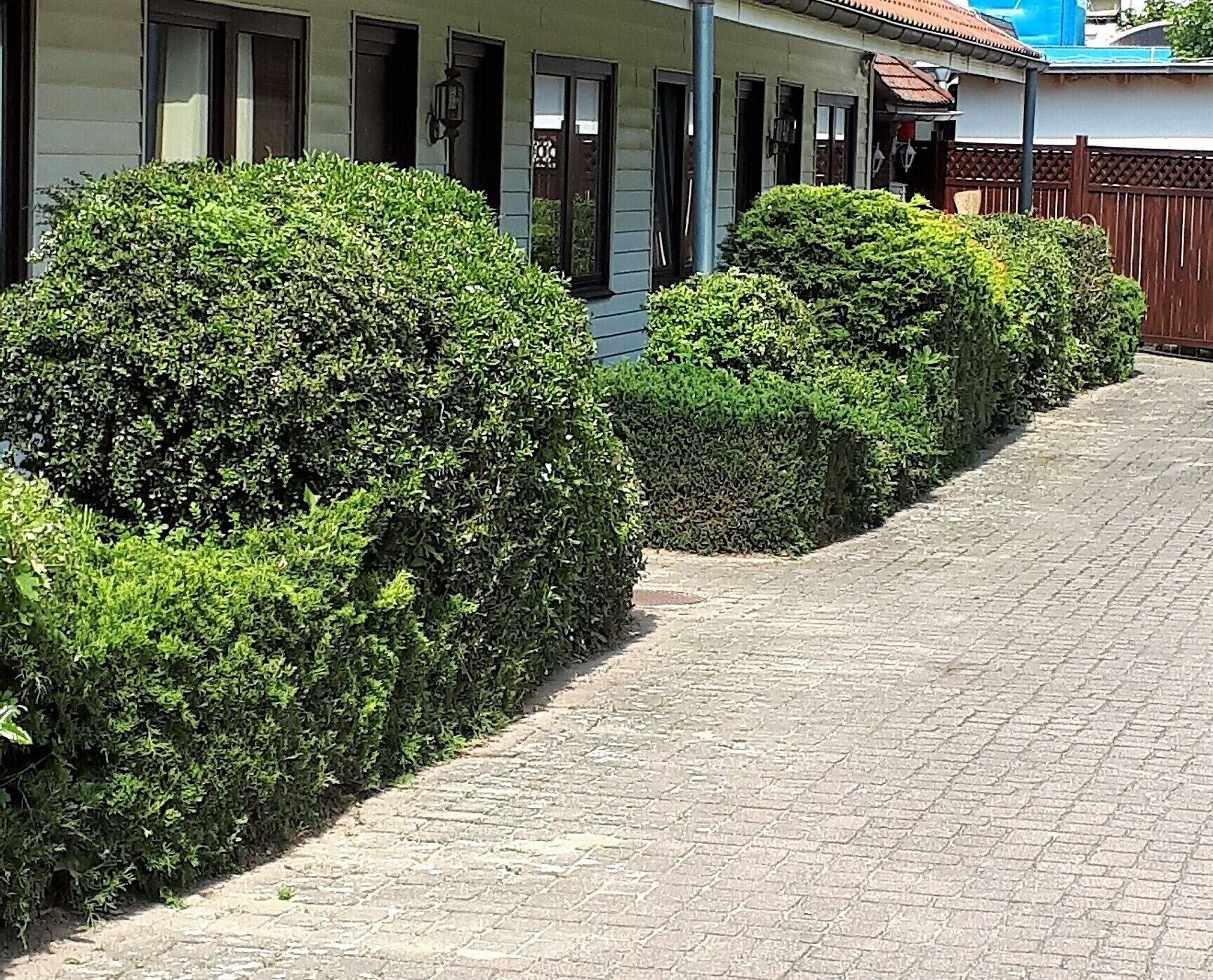 Varios Motel Zur goldenen Krone