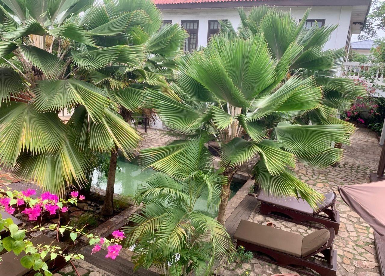 Comodidades del Alojamiento Olma Colonial Suites