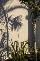 Alojamiento - Samian Mare Hotel Suites & Spa