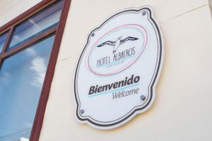 Alojamiento - Hotel Albatros