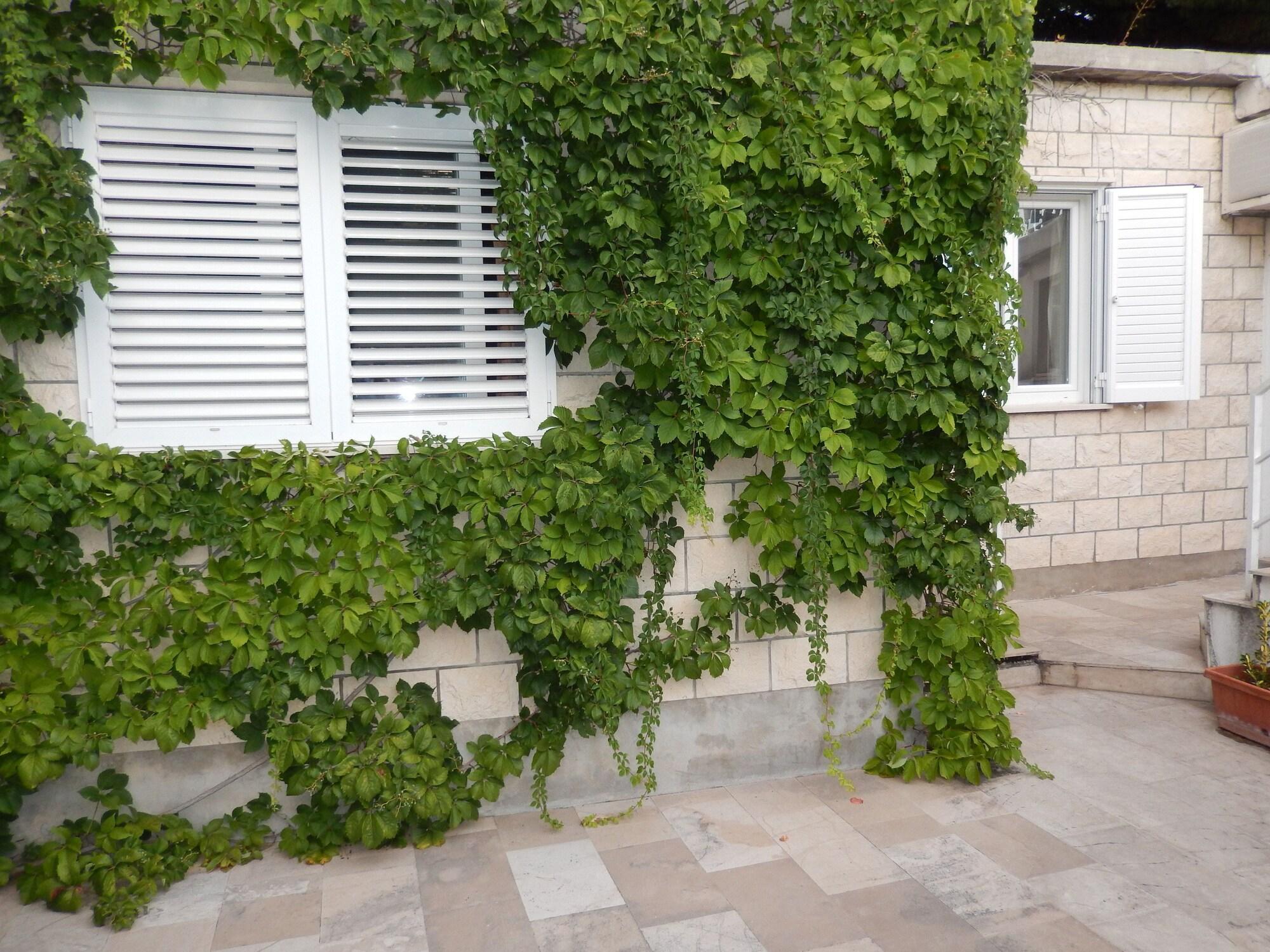 Equipamiento de Habitación Dubrovnik Apartments Kovacec