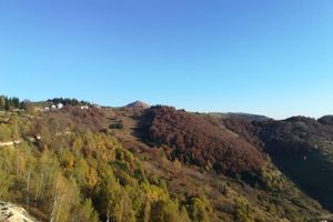 Alquiler Vacacional - Apartment SAMS LUX with the best view on mountain Kopaonik !