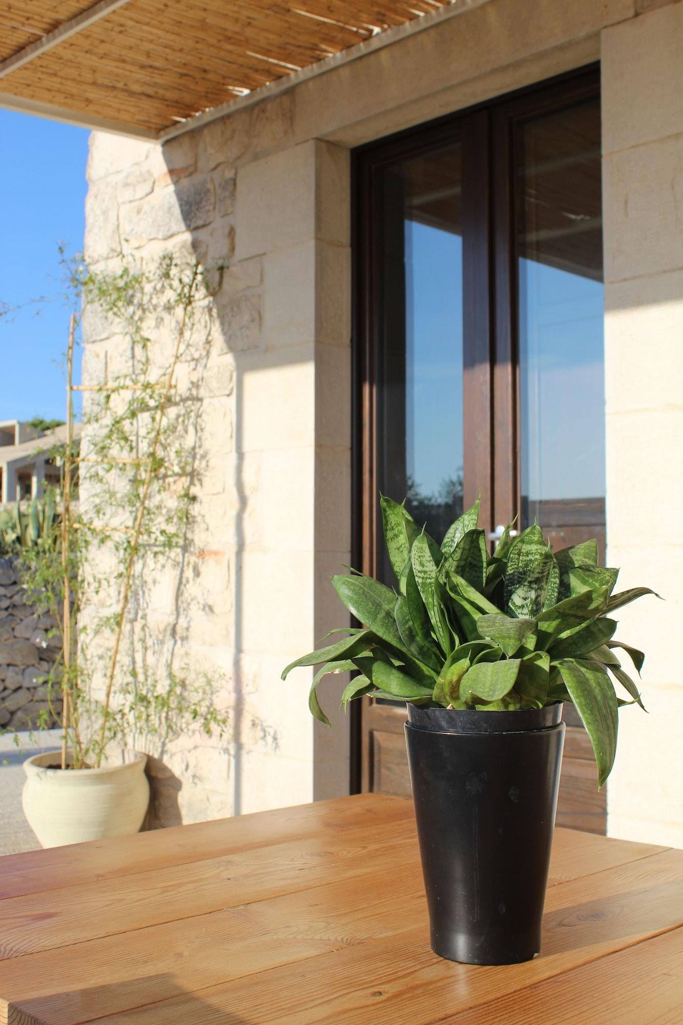 Equipamiento de Habitación Antica Masseria Timparuci