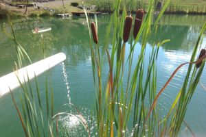 Alquiler Vacacional - BIG D's POND & North Branch of the Potomac river Camping.