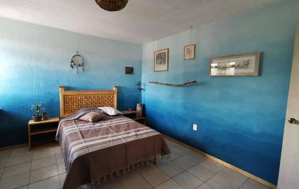 Casa del Árbol Xochimilco