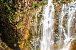 Actividad - Excursión a las cascadas del Nant y Fall