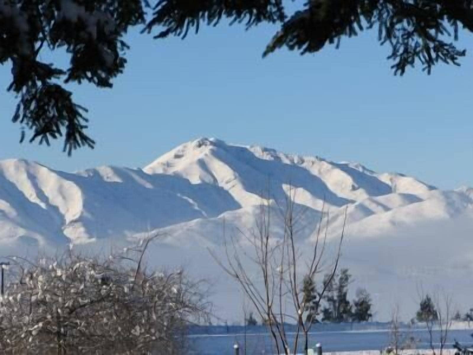 Equipamiento de Habitación Rippinvale Retreat