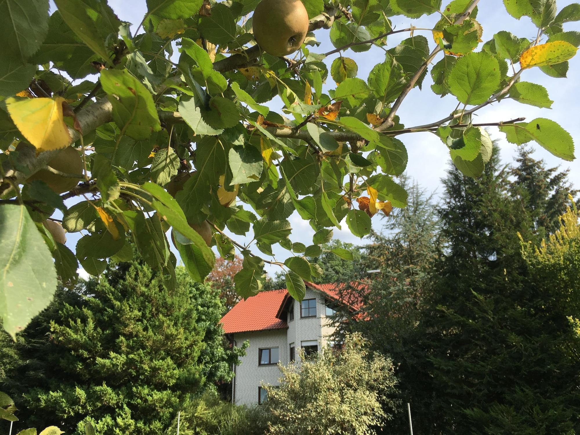 Vista Exterior Landhaus Pension Göke