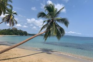 Alojamiento - cabinas Manzanillo caribe