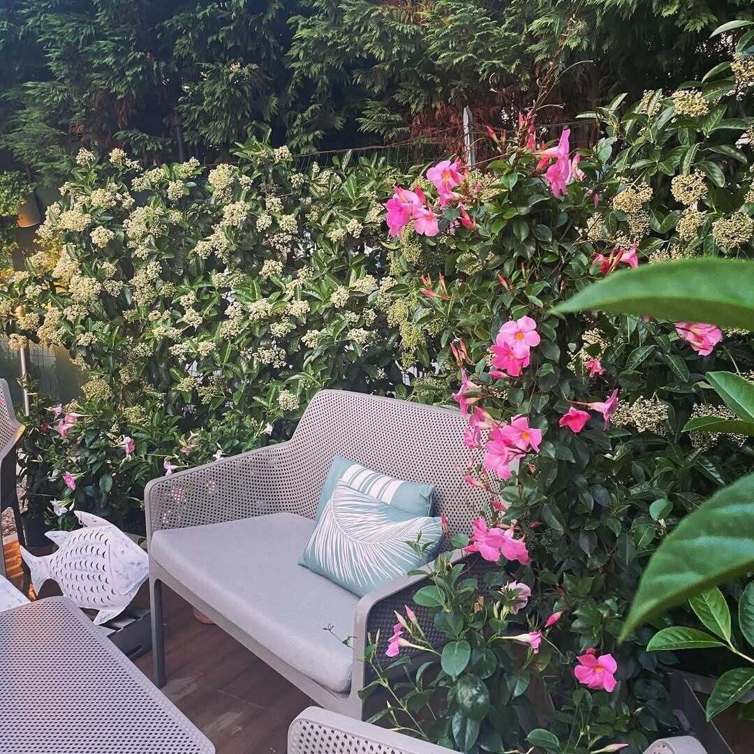 Vista Exterior B&B Dimora Vistamare