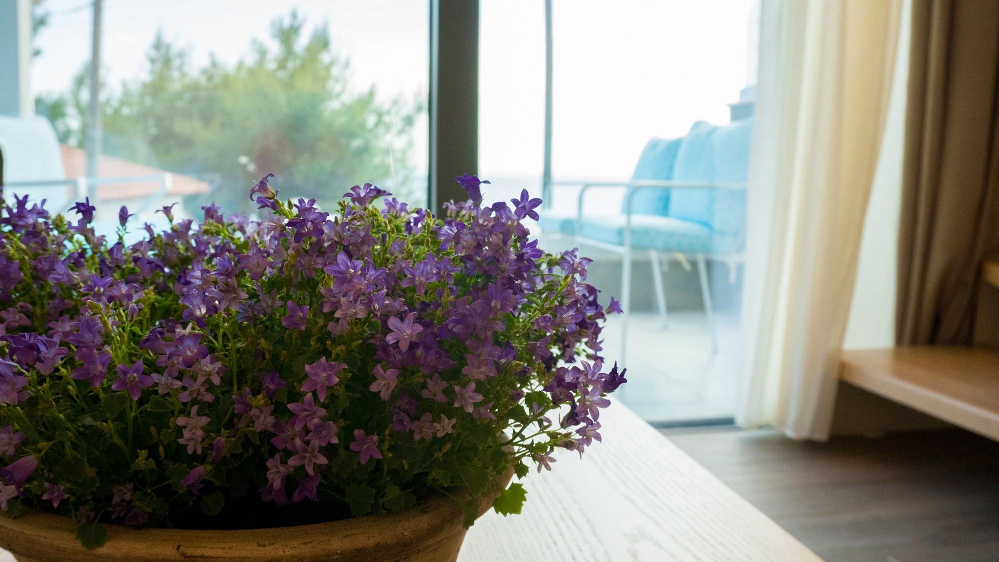 Set de Habitación Costa Domus Blue Luxury Apartments