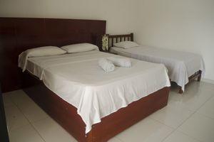 Alojamiento - Hotel Winsor Fonseca