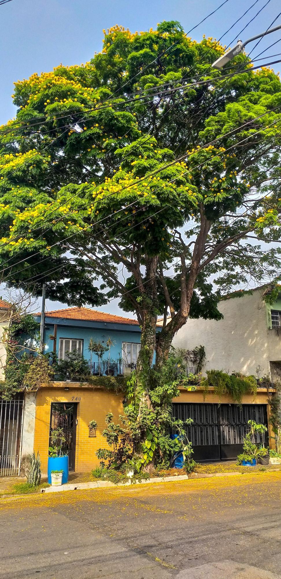 Varios Micasa Hostel