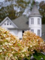 Alojamiento - Shadowcrest