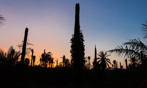 El Cerro