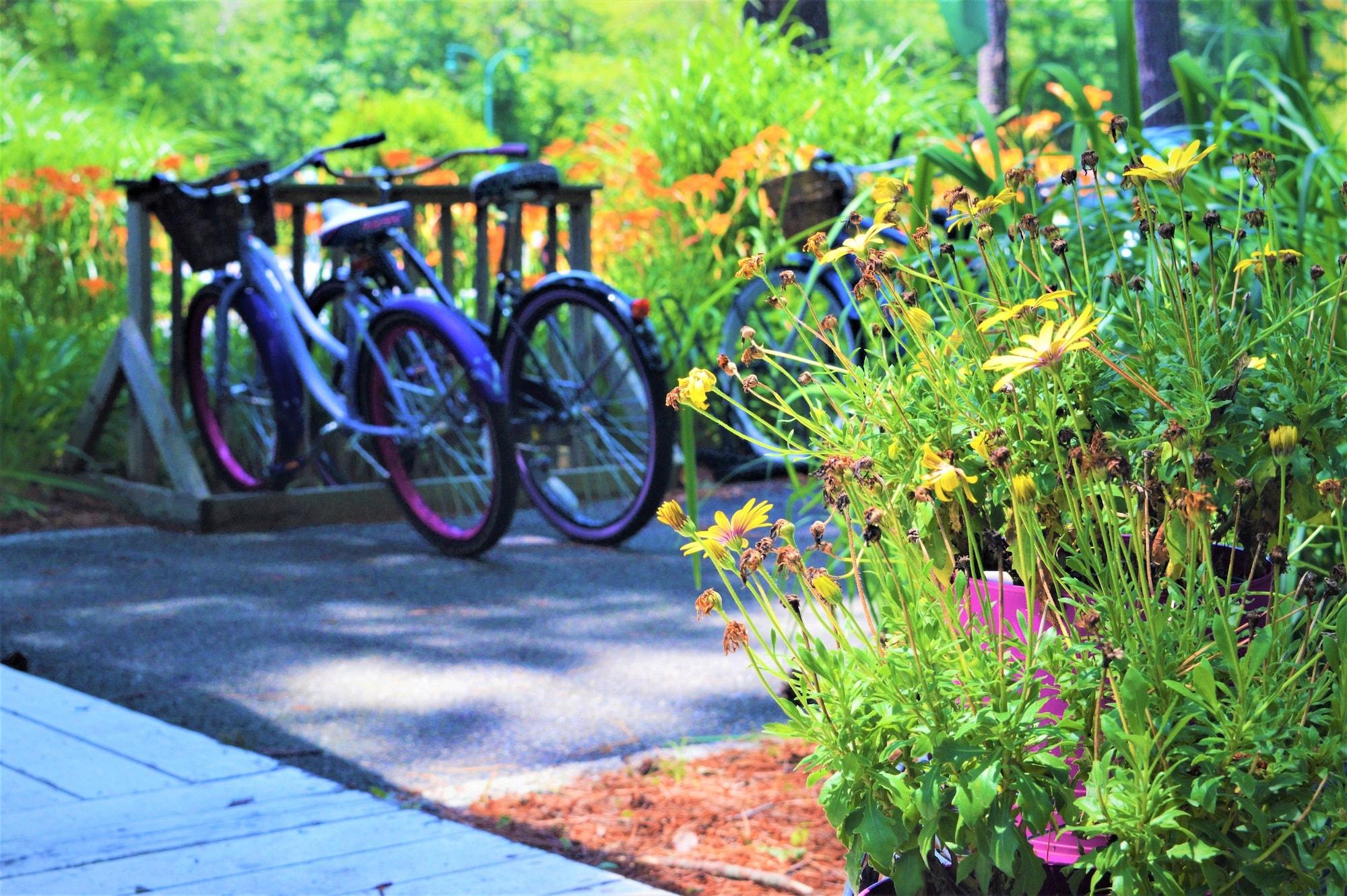 Varios Meris Gardens Bethany
