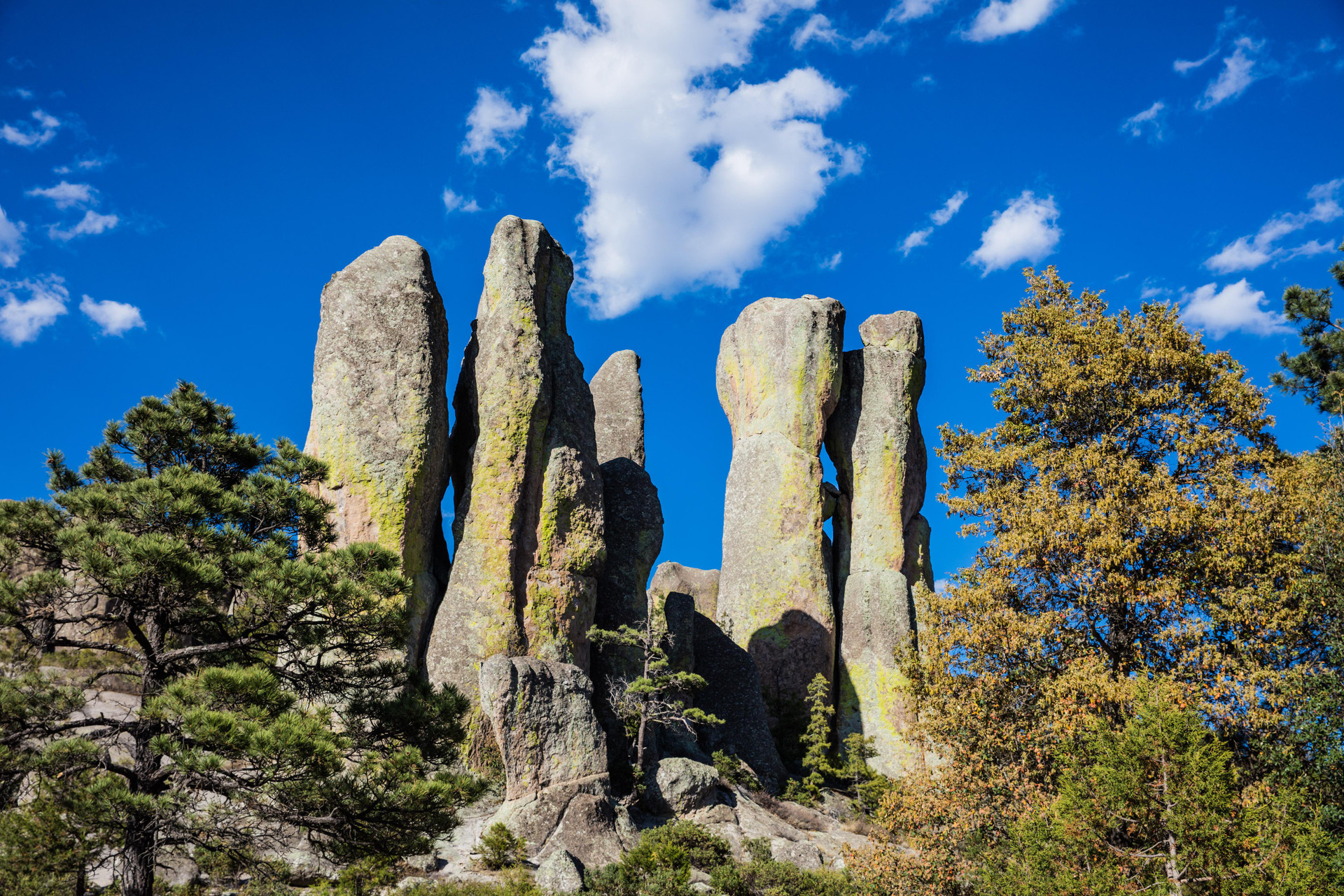 Instalaciones Recreativas One Chihuahua Norte