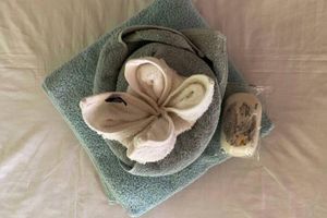Alquiler Vacacional - Charming Bush Chalet 6 on This World Renowned Eco Site 40 Minutes From Vic Falls Fully Catered Stay - 1986