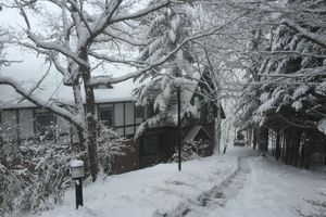 Alojamiento - Guesthouse Kreutzer