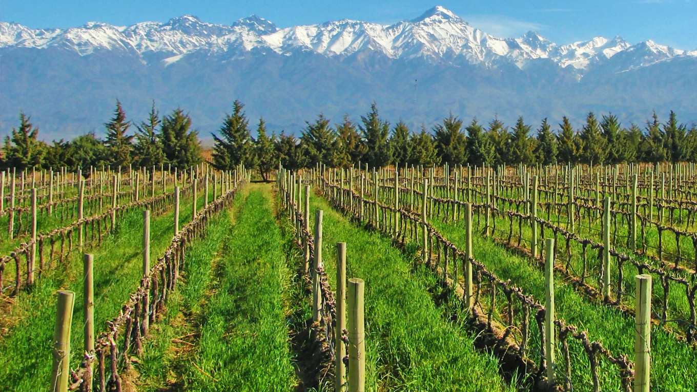 Mendoza